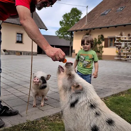 Urlaub Am Regen - Dirnberger Nittenau