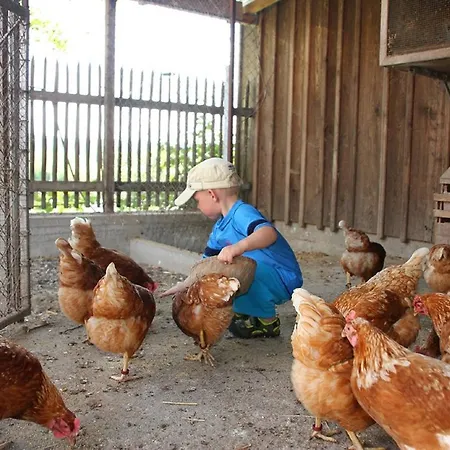 Farm stay Urlaub Am Regen - Dirnberger