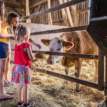 Farm stay Urlaub Am Regen - Dirnberger *